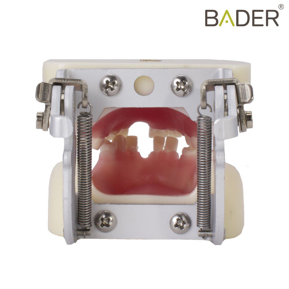 4050-Tipodonto-implantology-with-articulator.jpg