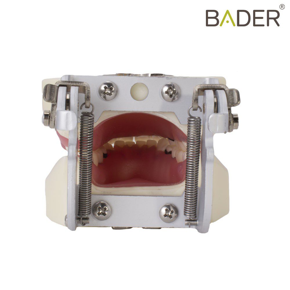4058-Periodontic-tipodont-with-articulator.jpg